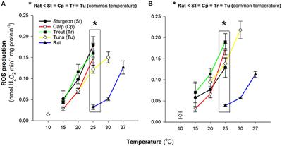 Frontiers | Comparison of Mitochondrial Reactive Oxygen Species